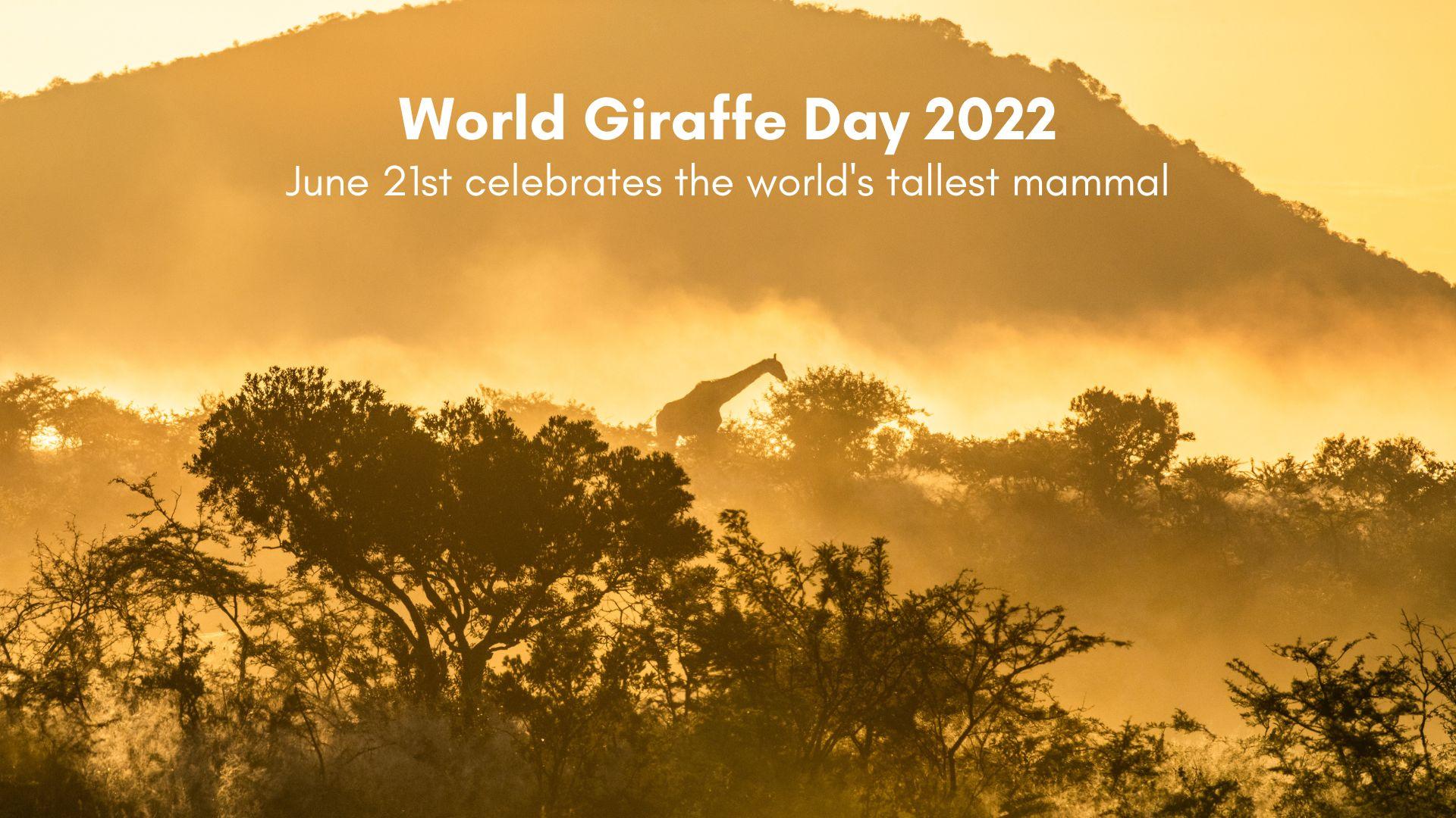 Art and Documentary Photography - Loading World_Giraffe_Day_2022.jpg