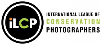 iLCP  Photo